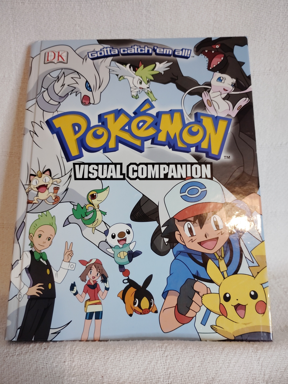 Visual Companion — Blue Cover